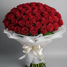 Букет 101 Красная роза Блэк Мэджик в Ольгинка