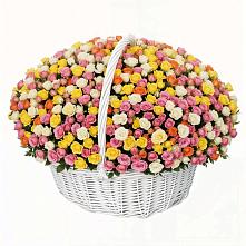 Премиум букет из: Розы в Ольгинка