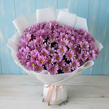 Букет цветов из:  Хризантемы #REPLACE_PRED# Ольгинка