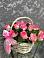 Цветочная композиция из Розы в корзине в Ольгинка