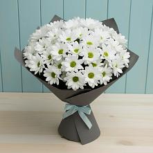 Букет цветов из:  Хризантемы в Ольгинка