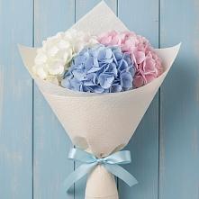 Букет цветов из:  Гортензия в Ольгинка