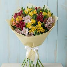 Букет цветов из:  Альстромерии в Ольгинка