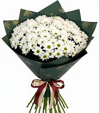 Букет цветов из:  Хризантемы в Ольгинка