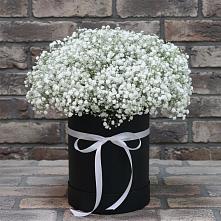 Цветочная композиция из Гипсофила в шляпной коробке в Ольгинка