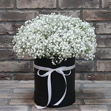 Цветочная композиция из Гипсофила в шляпной коробке в Ольгинка