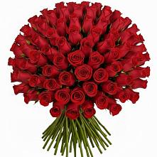 Букет Красные розы Чери Лав #REPLACE_PRED# Ольгинка