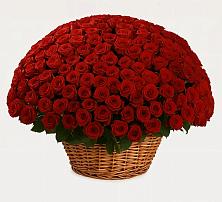 Премиум букет из: Розы в Ольгинка