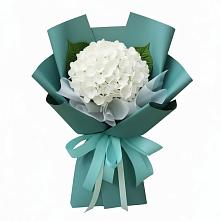 Букет цветов из:  Гортензия в Ольгинка
